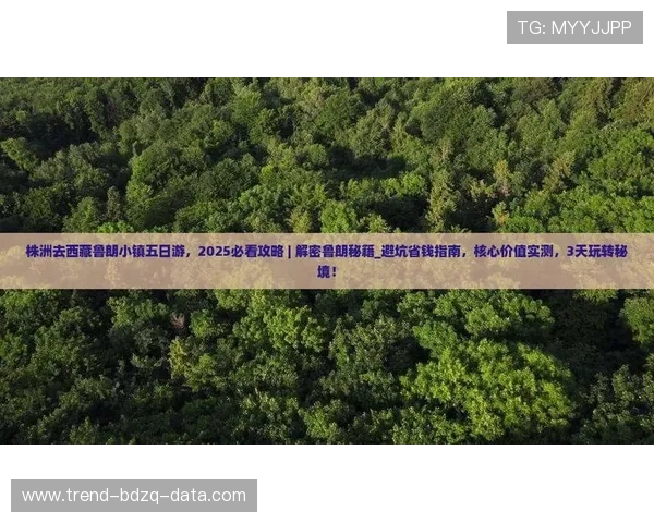 进球数和波胆的区别避坑指南品牌入口下载评测